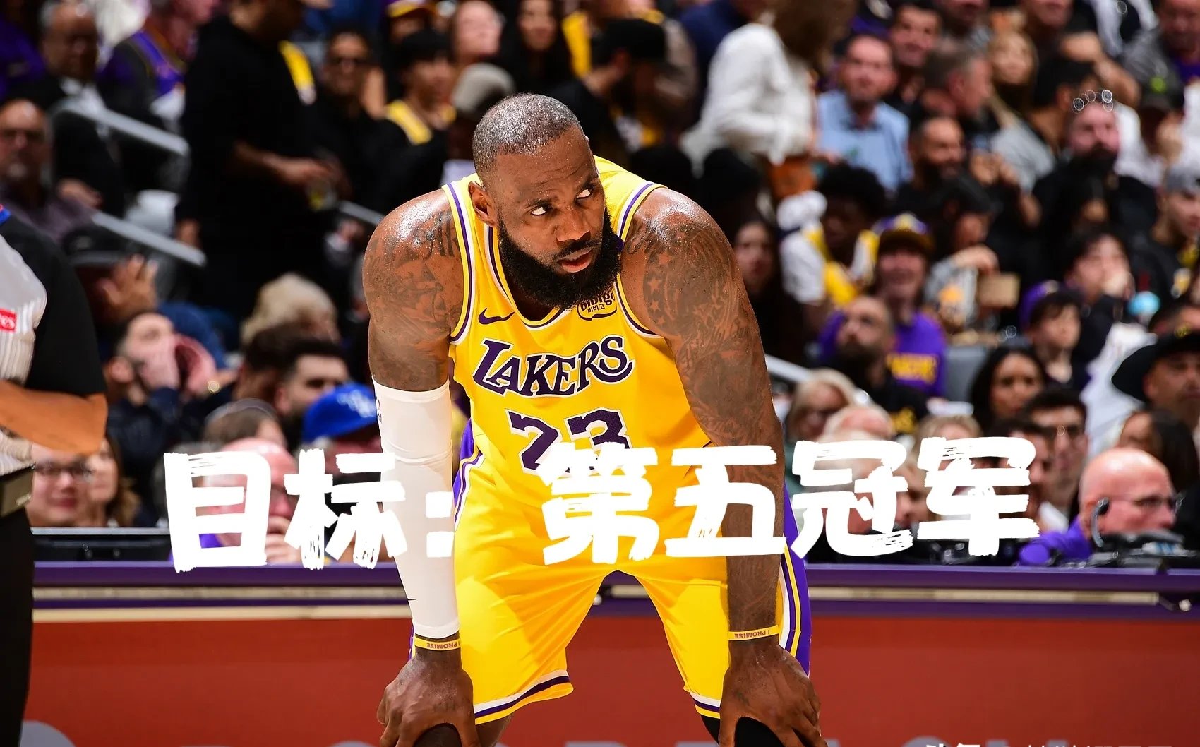 NBA常规赛冲刺阶段走向成谜；多特蒙德止住颓势；球迷炸锅；细节决定成败的简单介绍